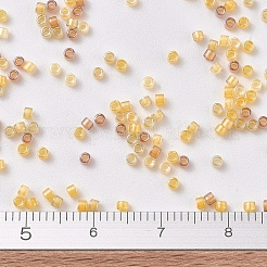 MIYUKIデリカビーズ  シリンダー  日本製シードビーズ  11/0  （db2061)蓄光ミックス1  1.3x1.6mm  穴：0.8mm  約10000個/50g&nbsp;SEED-X0054-DB2061