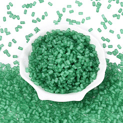 Perline di vetro trasparente satinato fgb&nbsp;SEED-N013-05A-09