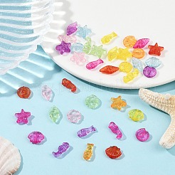 250шт 50г прозрачные акриловые бусины&nbsp;TACR-FP0001-04