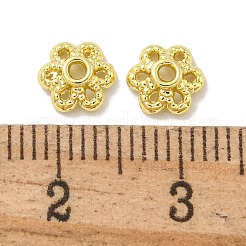 Cappucci di perline in lega&nbsp;FIND-L018-001LG-10