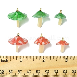 10шт 2 цвета пластиковые подвески&nbsp;KY-FS0001-34A