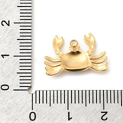 Подвески из нержавеющей стали 304 с эмалью&nbsp;STAS-P431-08G