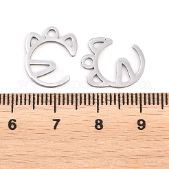 Anhänger aus 304 Edelstahl&nbsp;STAS-E521-07P-02