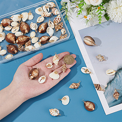 60 шт. 6 подвески из натуральных ракушек PALLOY-ME00019