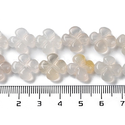 Натуральный белый агат бисер нитей&nbsp;G-M418-D03-01