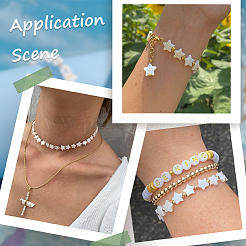 2 нить бусин из натуральных пресноводных ракушек SHEL-SC0001-36B