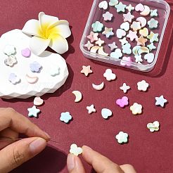 60 шт. 6 стиля макаронных бусин натурального цвета из ракушек BSHE-CJ0001-13