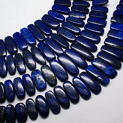 Natürlichen Edelstein Lapislazuli Anhänger absolvierte Perlen Stränge, dunkelblau, 20~45x14~23x5~10 mm, Bohrung: 1 mm, etwa 15.7 Zoll