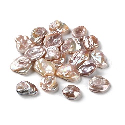 Perle naturali di perle d'acqua dolce coltivate con perle keshi, Senza Buco, perle barocche, pepite, marrone rosato, 13~19x9~14x3.5~8mm