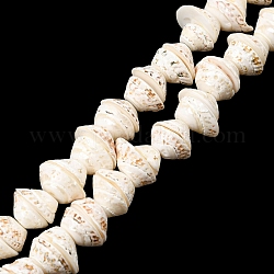 Hebras de perlas shell naturales, turritella, color de concha, 10~15x13x18mm, agujero: 1 mm, aproximamente 52 pcs / cadena, 15.7 pulgada