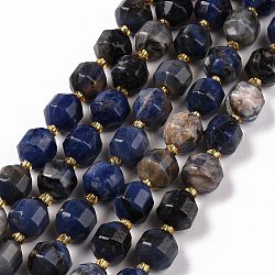 Brins de perles de sodalite naturelles avec des perles de rocaille, tambour à barillet bicône à facettes, 9.5x8.5mm, Trou: 1.2mm, Environ 31 pcs/chapelet, 14.17 pouce (36 cm)