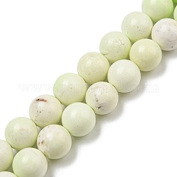 Fili di perle giada limone naturale, tondo, 8mm, Foro: 1 mm, circa 50pcs/filo, 15.71'' (39.9 cm)