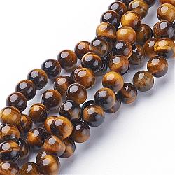Perles en pierres gemme, grade A oeil de tigre, ronde, environ 8 mm de diamètre, Trou: 1mm, Environ 46 pcs/chapelet, 15.5 pouce