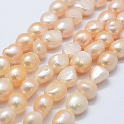Fili di perle di perle d'acqua dolce coltivate naturali, patata, peachpuff, 11~12x11~12x8~9mm, Foro: 0.2 mm, circa 30pcs/filo, 14.1 pollice