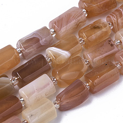 Brins de perles d'agate du Botswana orange synthétique, colonne, 10~11x5~8mm, Trou: 1mm, Environ 15~17 pcs/chapelet, 7.48 pouce ~ 7.87 pouces (19~20 cm)