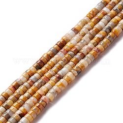 Chapelets de perles en agate fou naturel, plat rond, 4~4.5x2~2.5mm, Trou: 0.8~1mm, Environ 155~172 pcs/chapelet, 15.12 pouce ~ 15.55 pouces (38.4~39.5 cm)