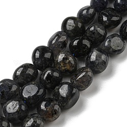 Perles naturelles Iolite brins, pépites en pierre roulée, 10~14x9~10x8~9mm, Trou: 1mm, Environ 35~36 pcs/chapelet, 15.63''~15.79'' (39.7~40.1 cm)