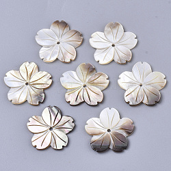 Natural Black Lip Shell Beads, Carved, Flower, 23x24x2mm, Hole: 1.6mm