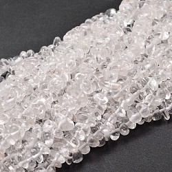 Natürlichen Quarzkristall-Chip-Perlen Stränge, Bergkristallperlen, 5~14x4~10 mm, Bohrung: 1 mm, ungefähr 15.5 Zoll ~ 16.1 Zoll