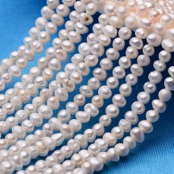 Hebras de perlas de perlas de agua dulce cultivadas naturales de papa, blanco cremoso, 3~4mm, agujero: 0.8 mm, aproximamente 100 pcs / cadena, 13.3 pulgada ~ 14.1 pulgadas