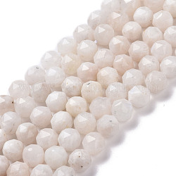 Natural Rainbow Moonstone Beads Strands, Star Cut Round Beads, Faceted, 7~8x8mm, Hole: 0.9mm, about 49pcs/strand, 14.92 inch(37.9cm)~15.75 inch(40cm)