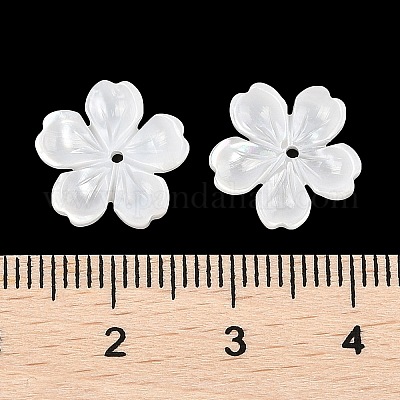 Резные бусины из натуральной белой ракушки SSHEL-I026-12D-05-1