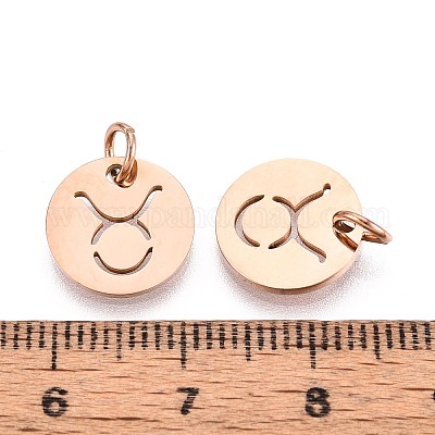 Подвески из нержавеющей стали 304 STAS-Q201-T445-2R-1