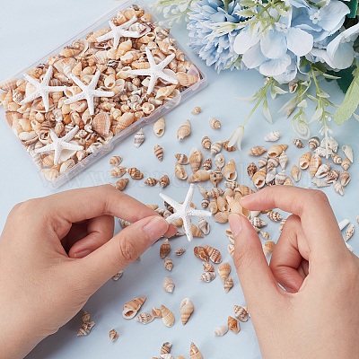 Украшения из натуральной смолы в виде кабошонов из ракушек и морских звезд SHEL-AR0001-13-1