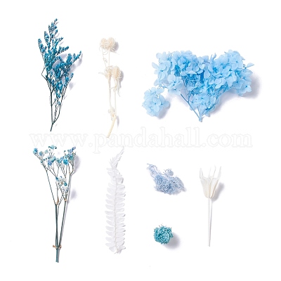 Сушеные цветы DIY-D052-10-1