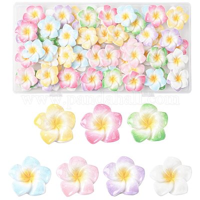 70 шт. двухцветные кабошоны из непрозрачной смолы в форме цветка плюмерии CRES-FS0001-32-1