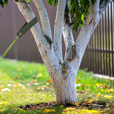 Полиэстер с железными лентами для поддержки растений FIND-WH0126-559-1