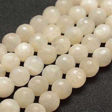 Naturelles perles pierre de lune blanc brins G-G682-22-10mm-1