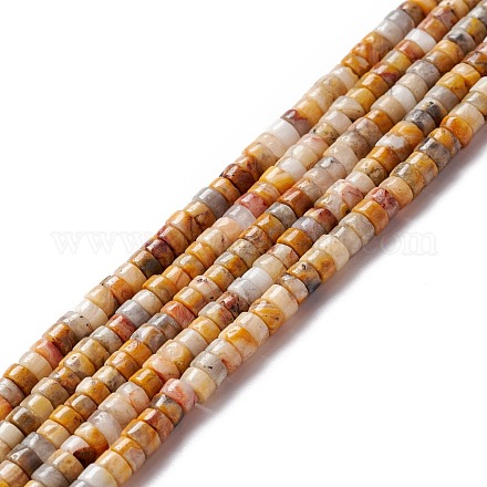 Chapelets de perles en agate fou naturel G-A201-A05-1