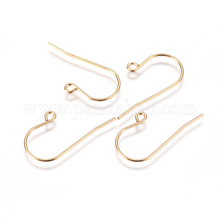 304 Stainless Steel Earring Hooks X-STAS-F227-29-G-1