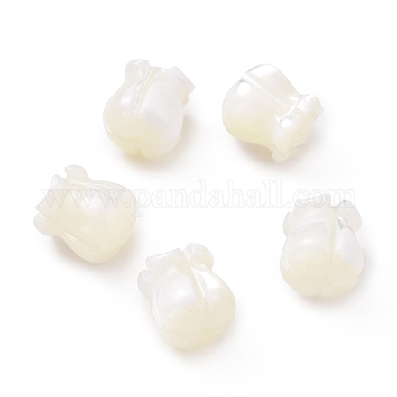 Perle trochid naturali / conchiglie trochus SHEL-P014-01-1