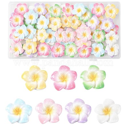 70 шт. двухцветные кабошоны из непрозрачной смолы в форме цветка плюмерии CRES-FS0001-32-1