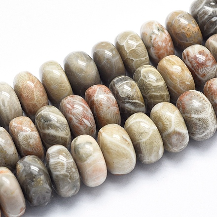Natural Fossil Coral Beads Strands G-K256-10E-1