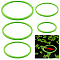 1 Set EVA Foam Feeding Ring for Fish, Lime Green, 90~205x5mm, 5pcs/set