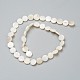 Perles de coquillages naturels d'eau douce BSHE-I011-01D-02-2