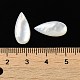 Natürliche weiße Muschel cabochons SSHEL-M022-04-3