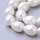 Fili di perle di conchiglia di elettropeste BSHE-O019-05-3