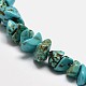 Copeaux synthétiques perles turquoise brins G-N0134-08A-2