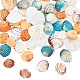 Nbeads 200G 4 Styles Dyed Natural Mixed Shell Beads Sets BSHE-NB0001-30-1