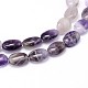 Natural Amethyst Flat Oval Bead Strands G-M206-20-3