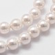Cuentas perlas de concha de perla X-BSHE-L025-01-4mm-3