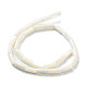 Natural Trochus Shell Beads Strands SSHEL-S266-020A-06-3