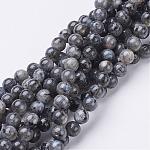 Brins de perles de larvikite naturelles, ronde, environ 6 mm, Trou: 0.8mm, Environ 63 pcs/chapelet, 15.5 pouce
