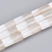 Природный агат бисер нитей G-T144-31