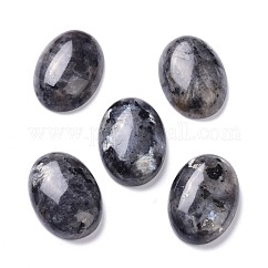 Cabujones de larvikita negra natural, oval, 25x18x7mm