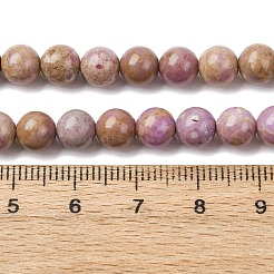 Натуральный лепидолит / пурпурный слюдяный камень бисер пряди G-K401-A01-6mm